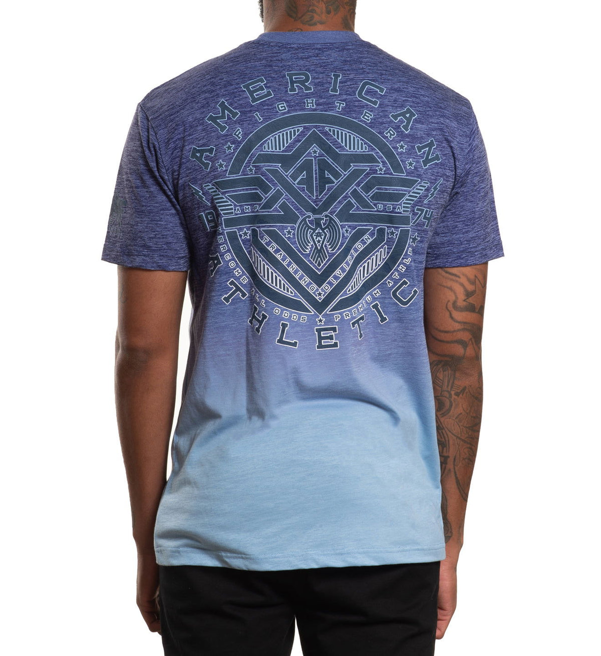 Fairchild - American Fighter