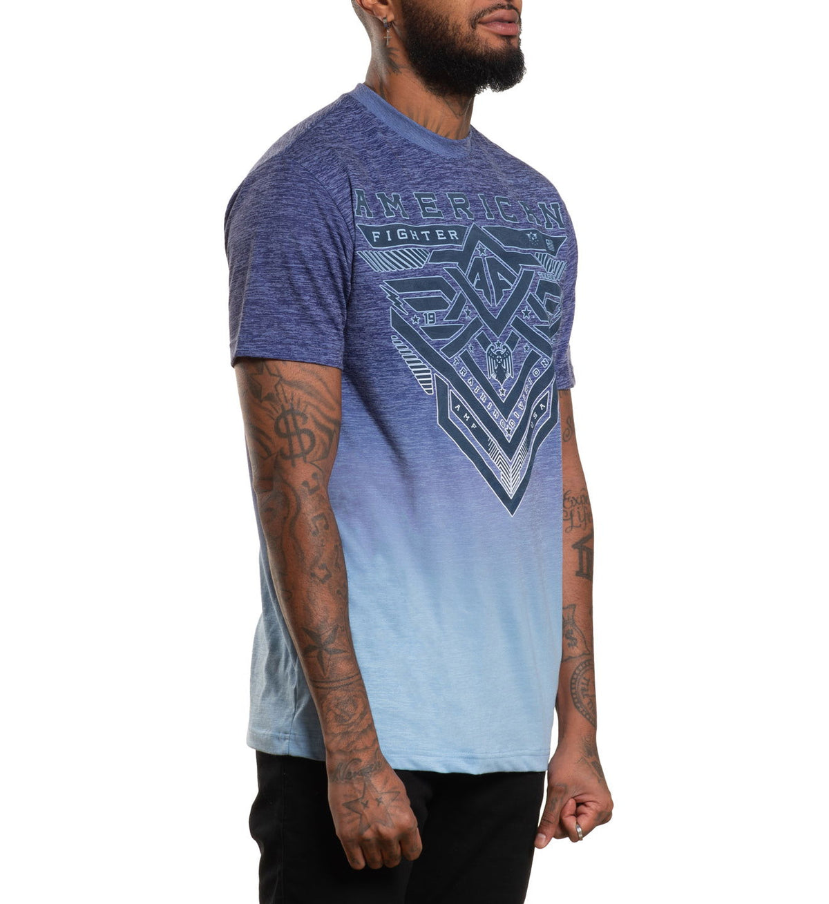 Fairchild - American Fighter