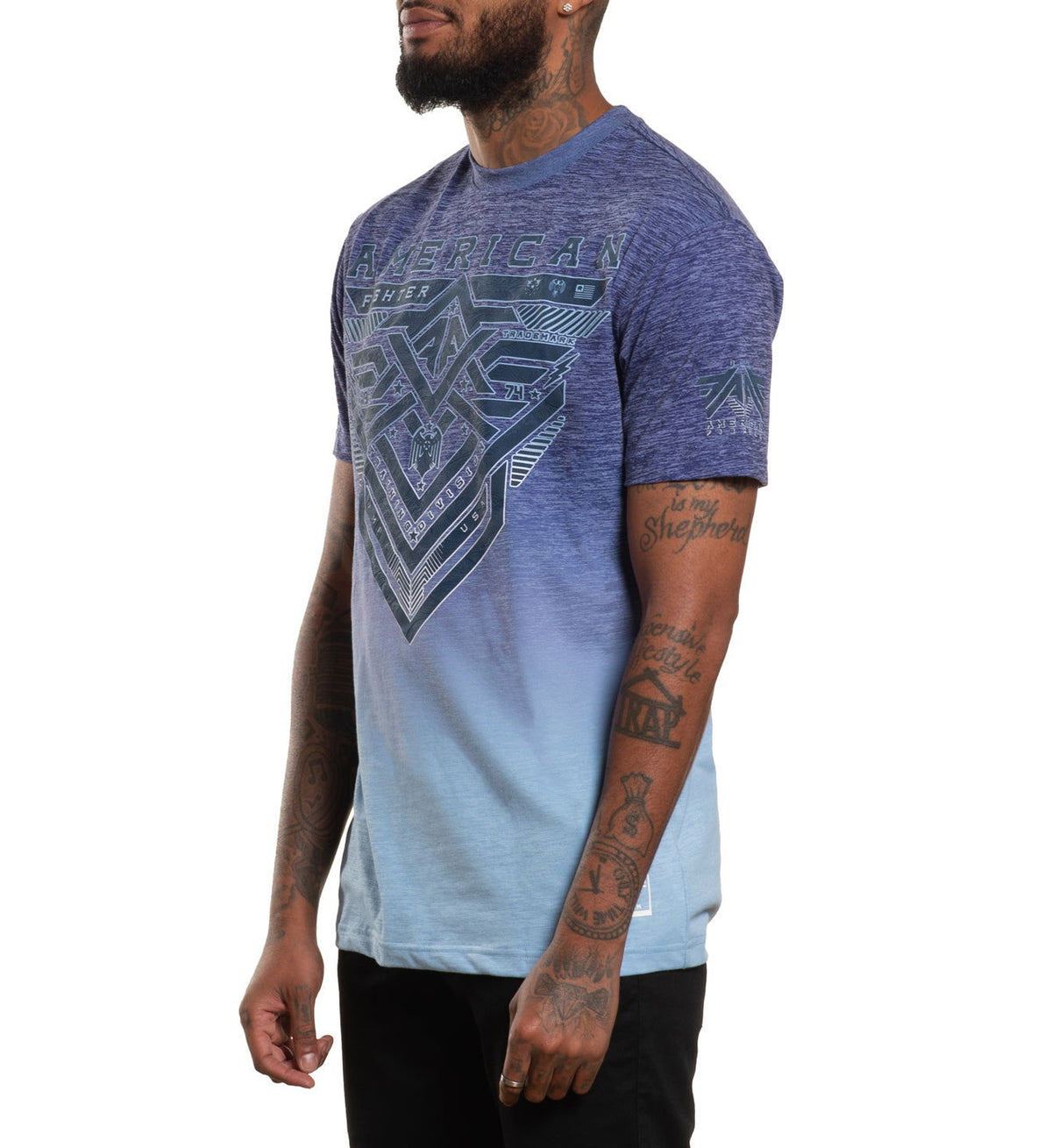 Fairchild - American Fighter