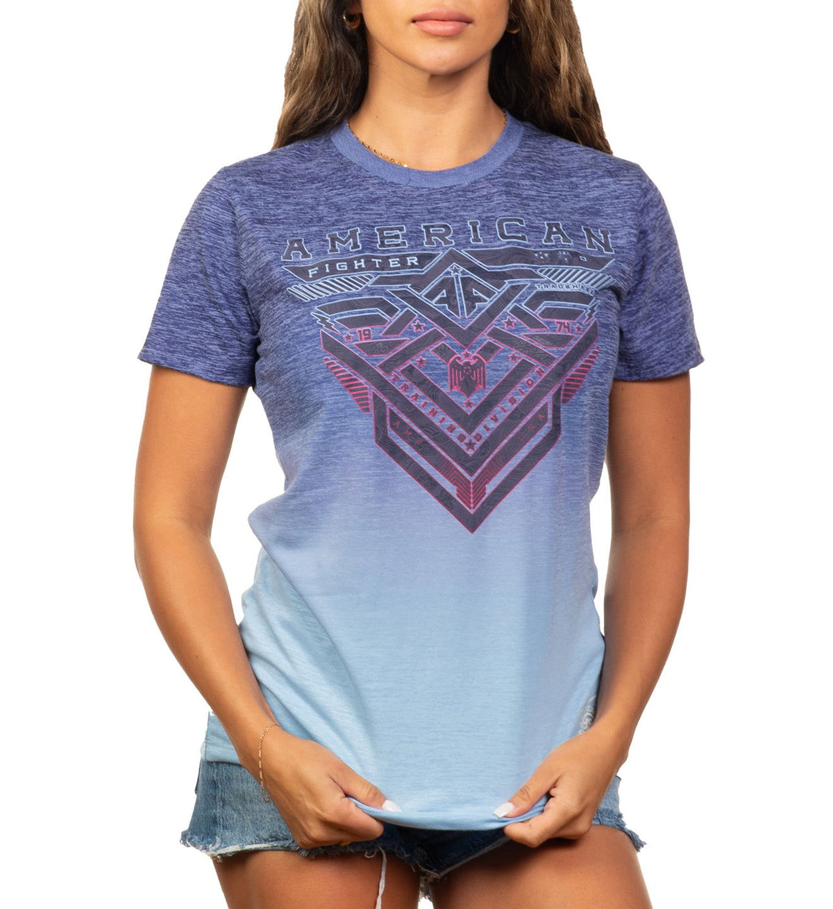 Fairchild - American Fighter