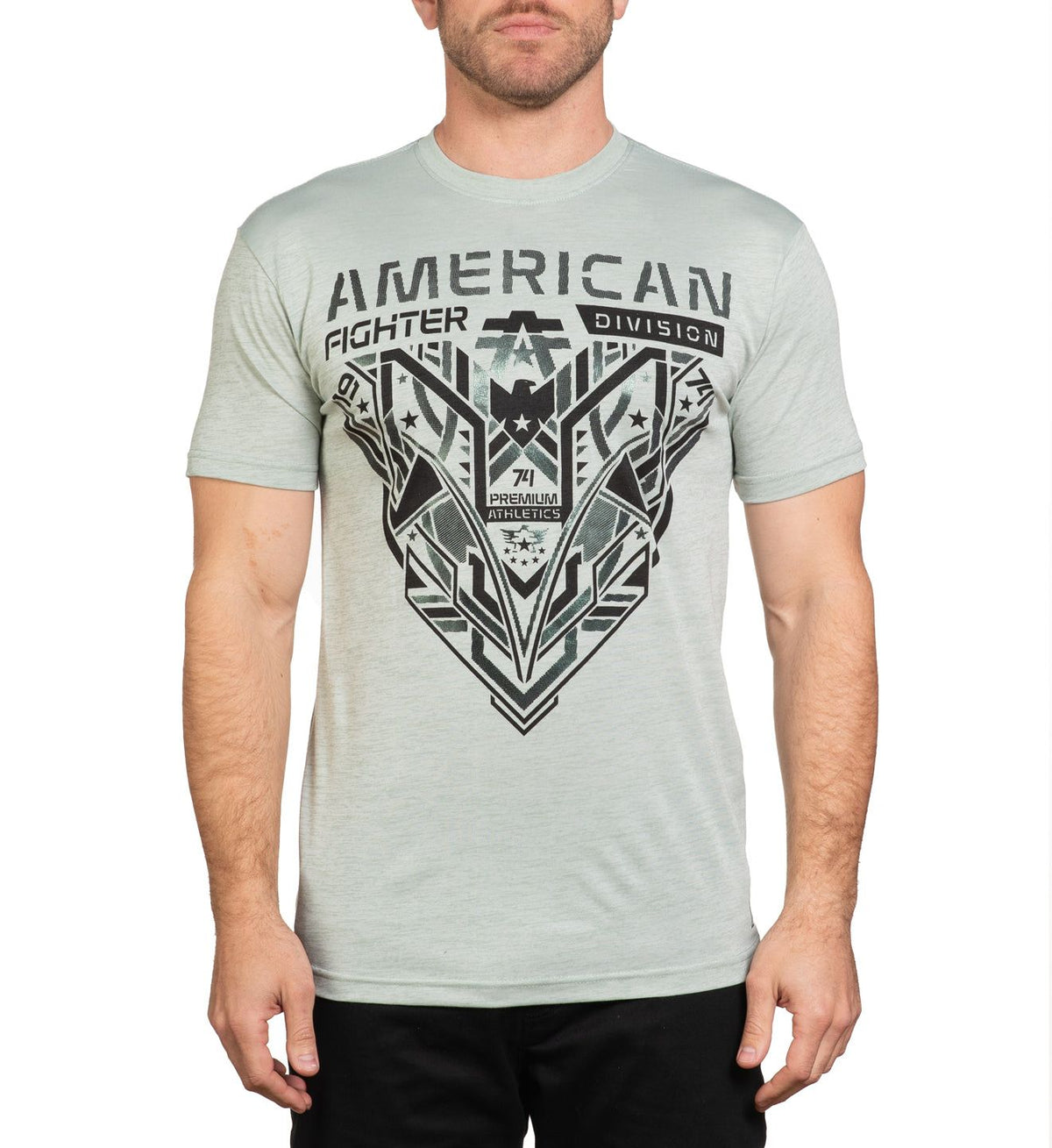 Hollins - American Fighter