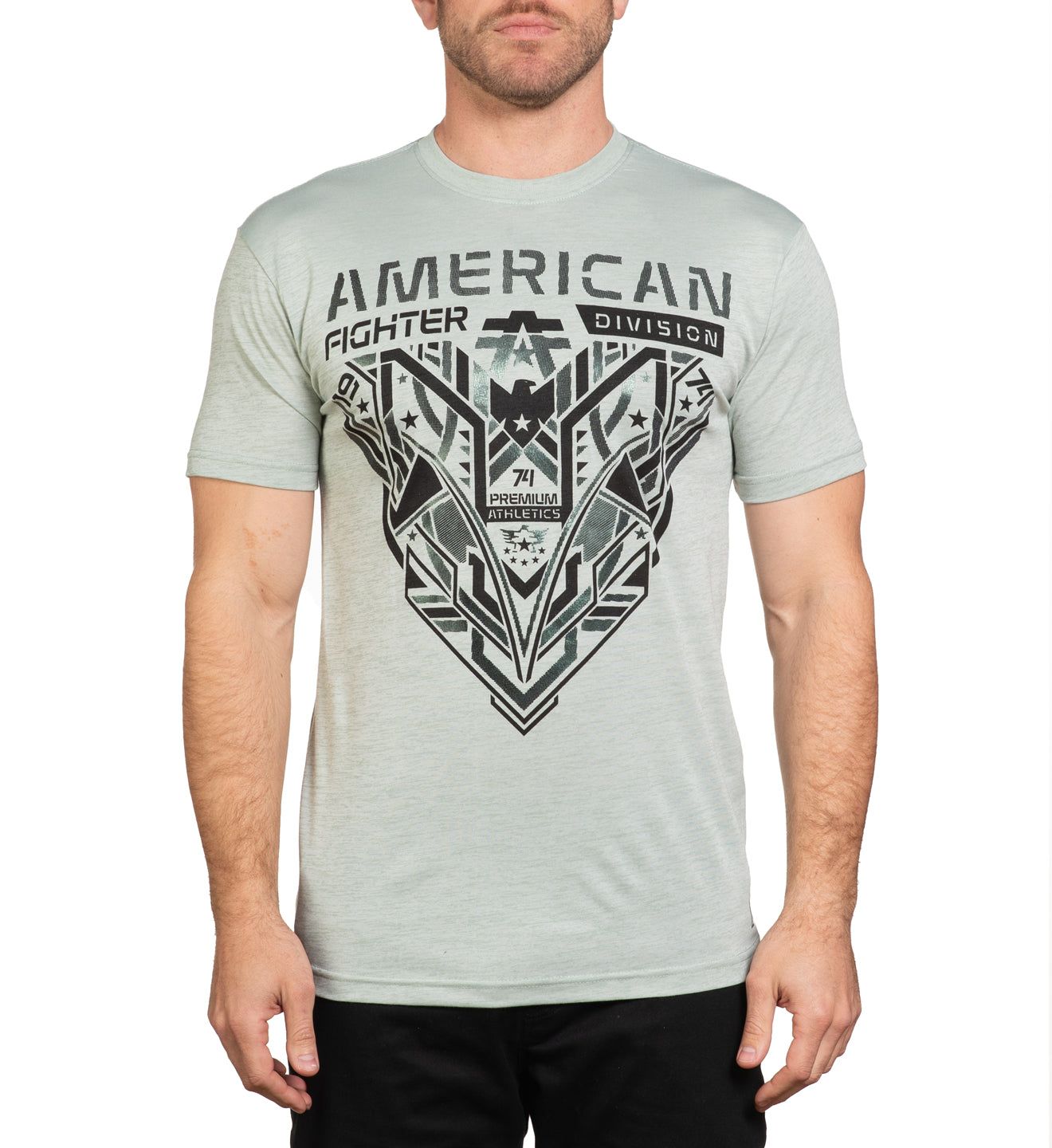 Hollins - American Fighter