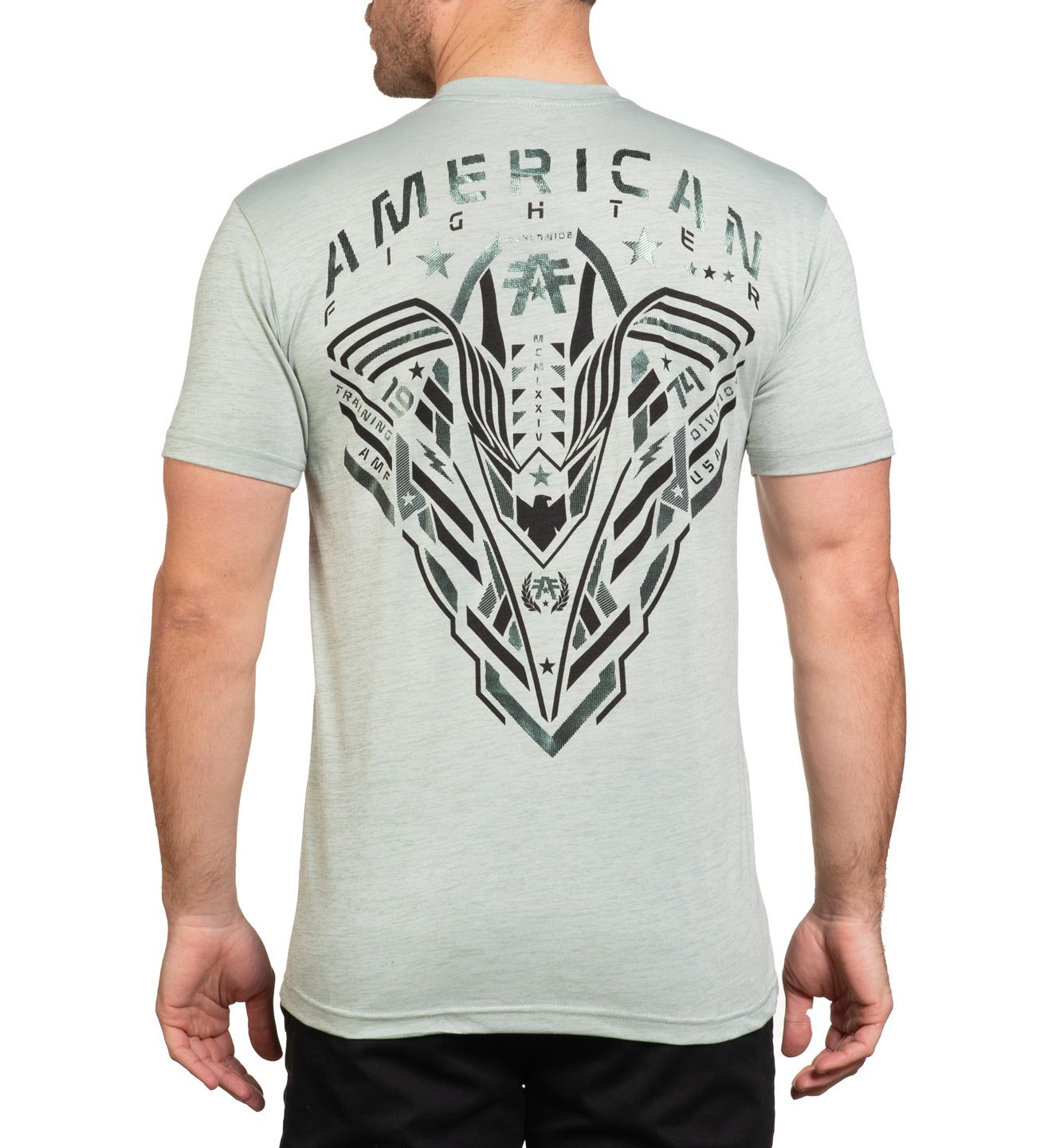 Hollins - American Fighter