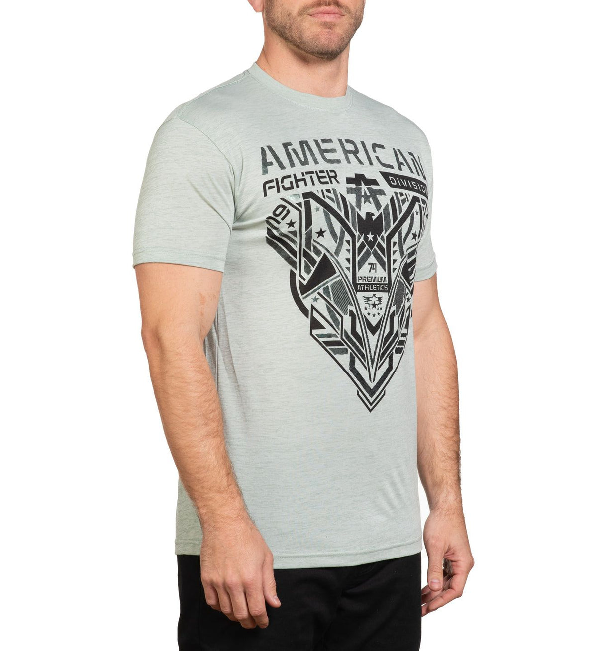 Hollins - American Fighter