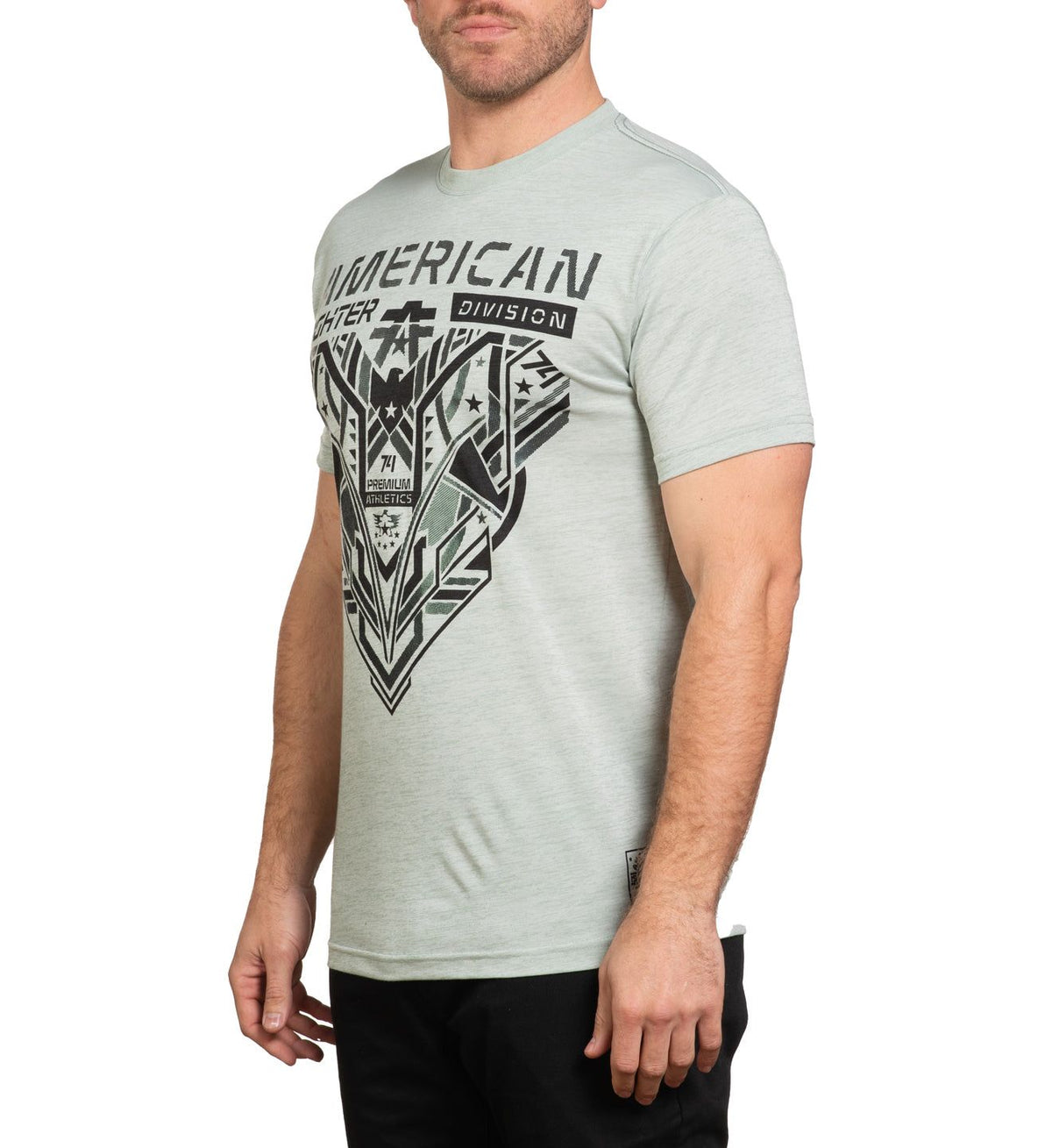 Hollins - American Fighter