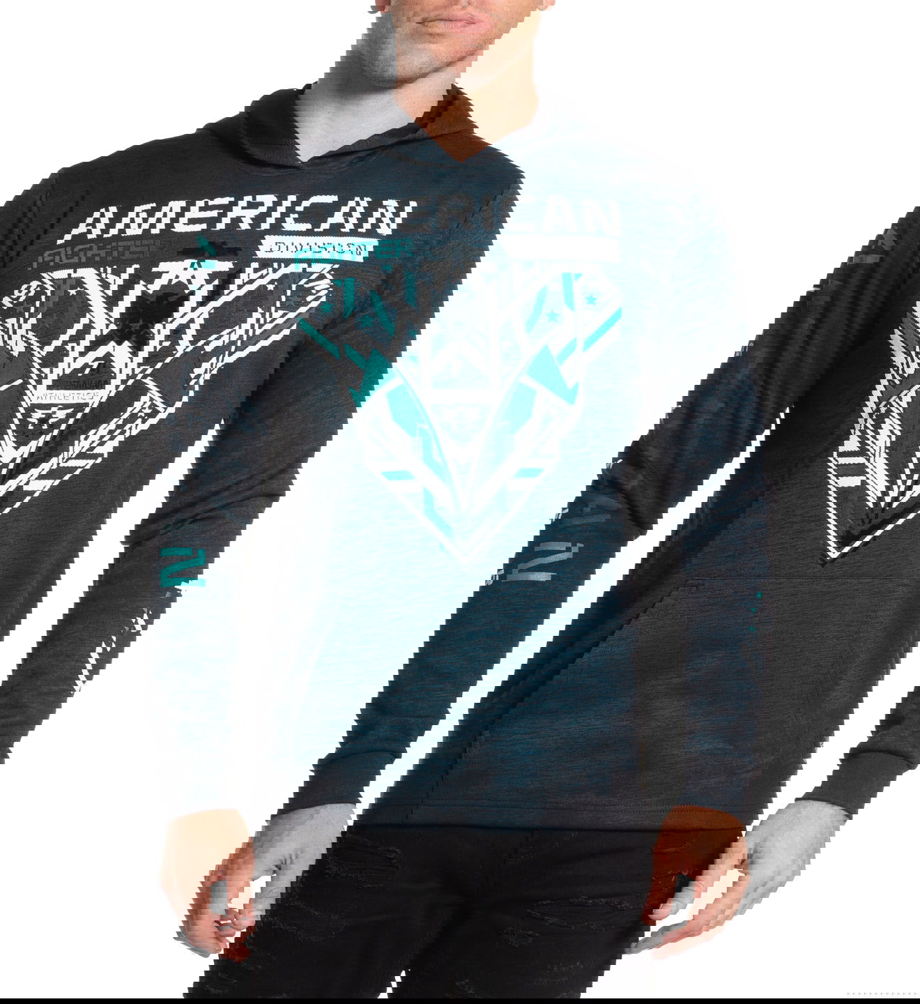 Hollins - American Fighter